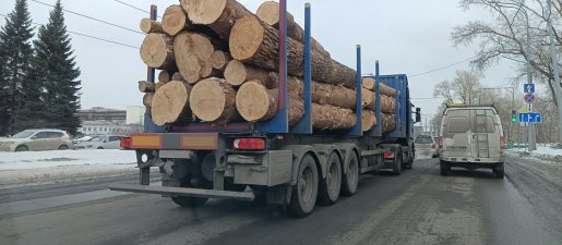 Поиск транспорта для перевозки леса, бревен и кругляка стоимость услуг и где заказать - Уфа